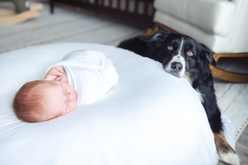 newborn baby boy sleeps in a swaddle on a beanbag with his dog resting on the chair