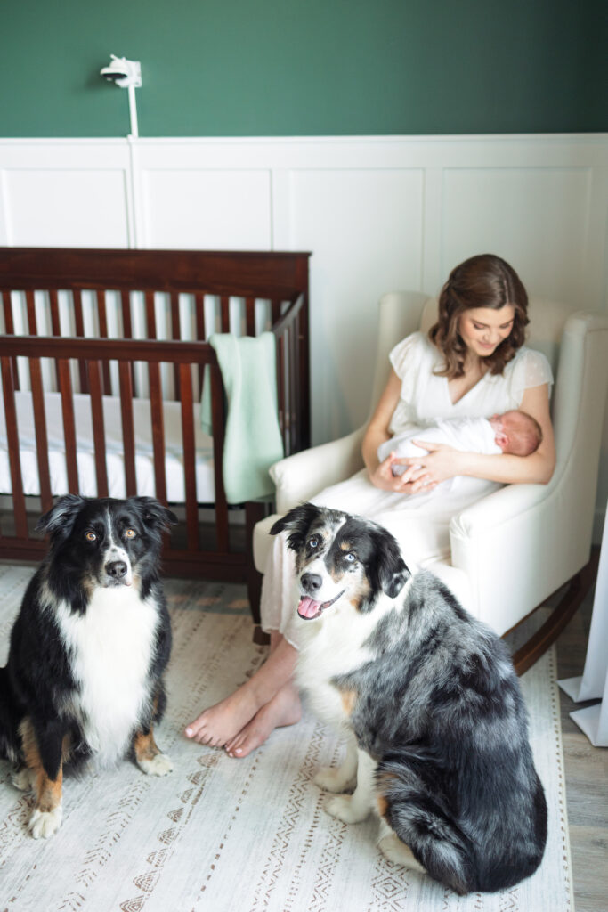 Baby being held by her mother while two dogs pose at her feet