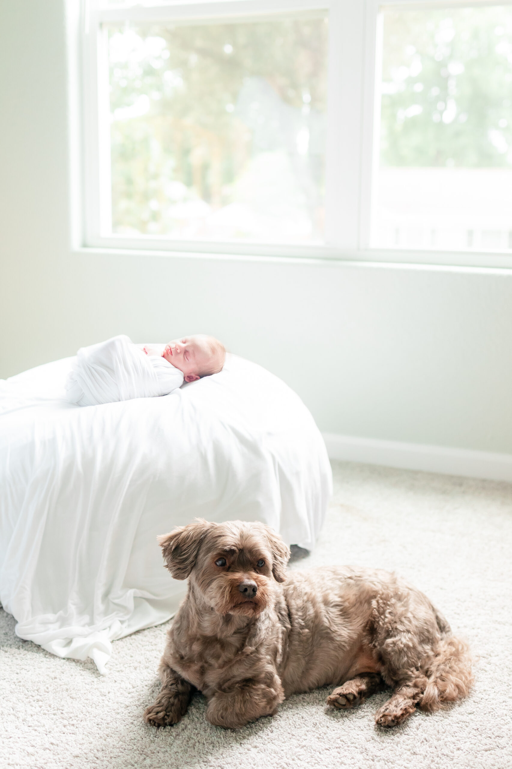 newborn baby and dog together smiling